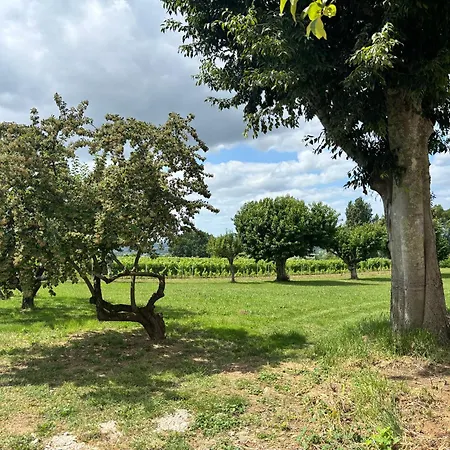 La Grande Maison * Pujols (Gironde)